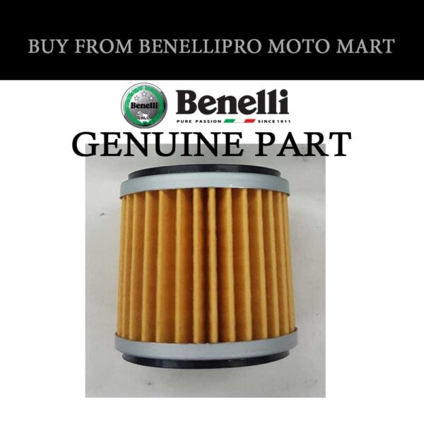 Engine Oil Filter Benelli TNT 25, TRK 251, 251s, Leoncino 250 ...